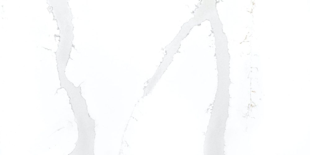 1219CALACATTAVICTORYdetail 2023resized x700