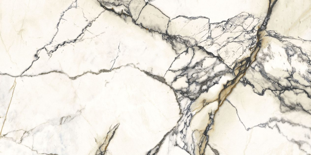 PAONAZZETTO REALE 1 full2